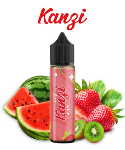 Alternative view of Kanzi E-Likit